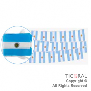 BANDERIN ARGENTINA PLASTICO 20X30CM 2 MT(20 BANDERINES) x 1